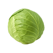 Cabbage