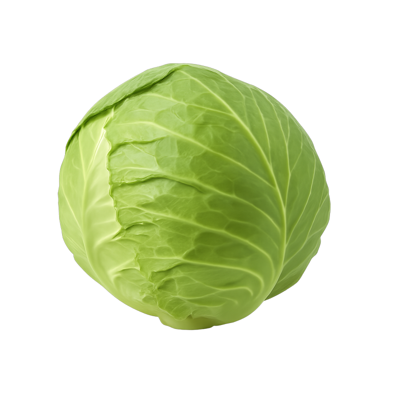 Cabbage