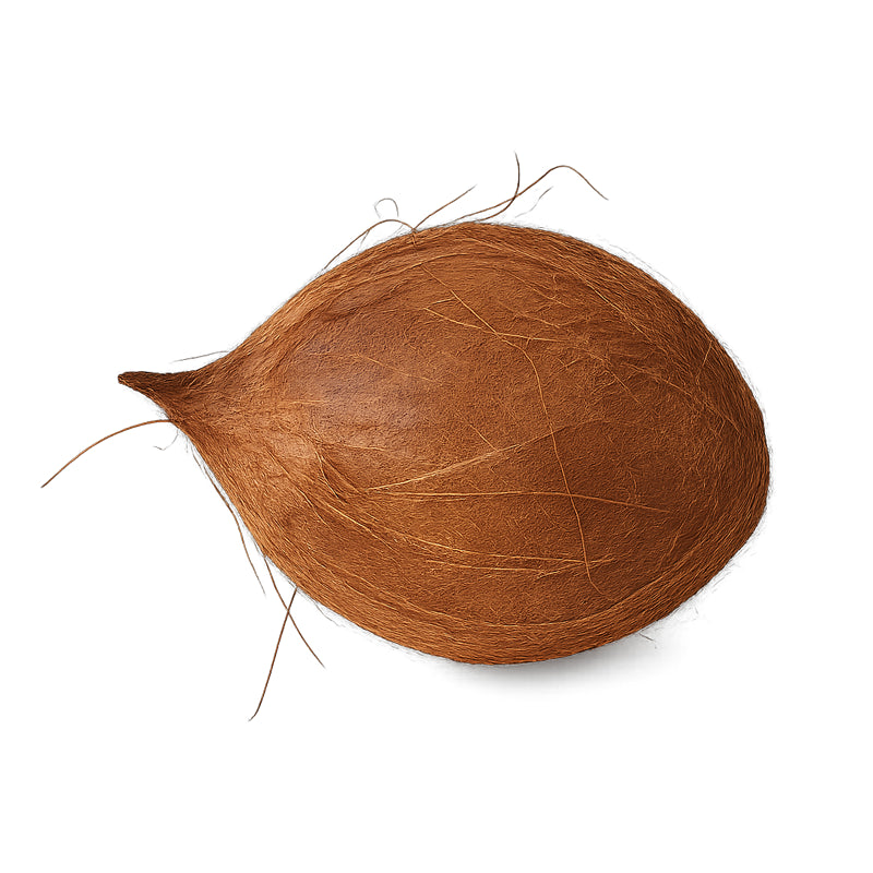 coconut