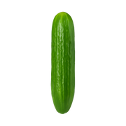 Cucumber