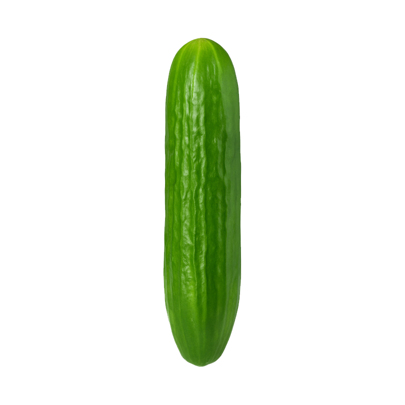 Cucumber