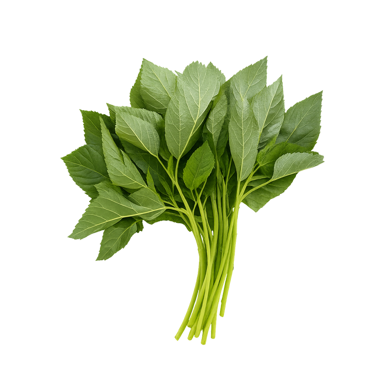 Spinach (Nali Shak)