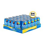 Rubicon Mango 330ml case of 24 cans